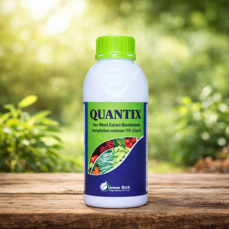 ChatGPT Image Dec 27, 2025, 11_09_42 AM