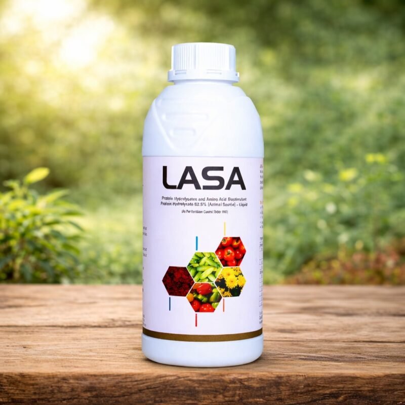 WhatsApp Image 2025-12-27 at 11.07.22 AM