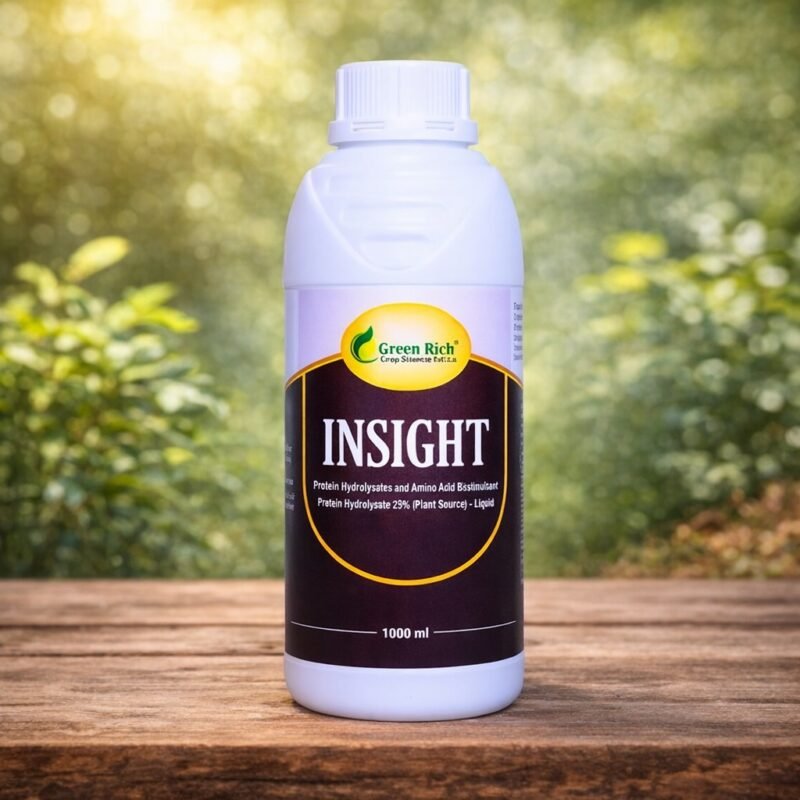 WhatsApp Image 2025-12-27 at 11.11.00 AM