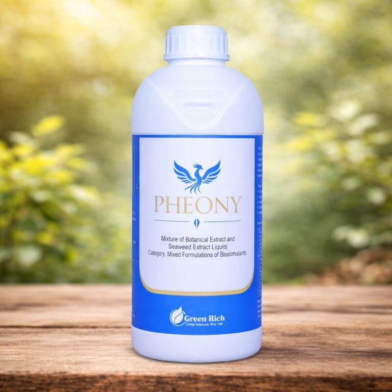 WhatsApp Image 2025-12-27 at 11.11.21 AM