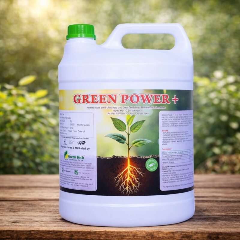 WhatsApp Image 2025-12-27 at 11.12.36 AM