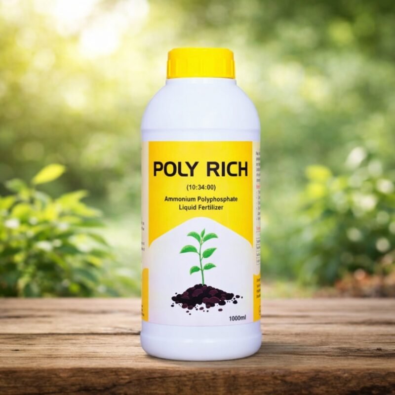 WhatsApp Image 2025-12-27 at 11.17.28 AM