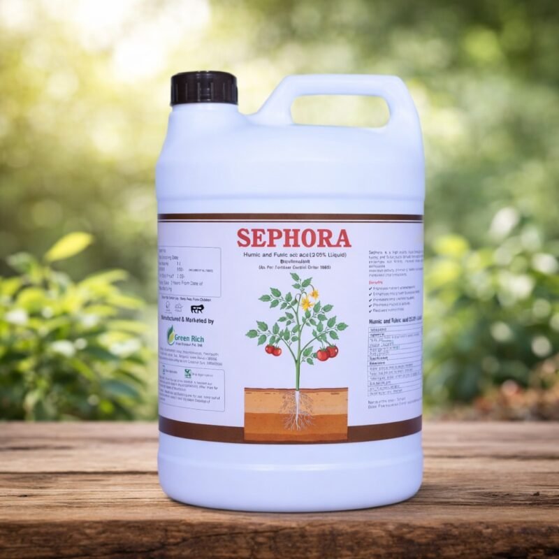 WhatsApp Image 2025-12-27 at 11.17.58 AM